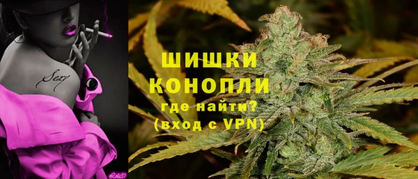 PSILOCYBIN Богородицк