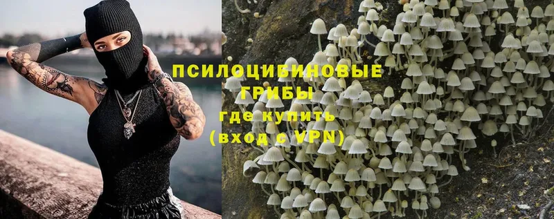 Галлюциногенные грибы MAGIC MUSHROOMS  shop какой сайт  Челябинск  наркотики 